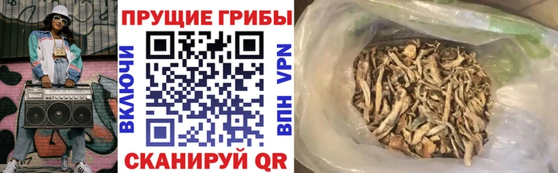 Псилоцибиновые грибы ЛСД  ссылка на мегу зеркало  Злынка 