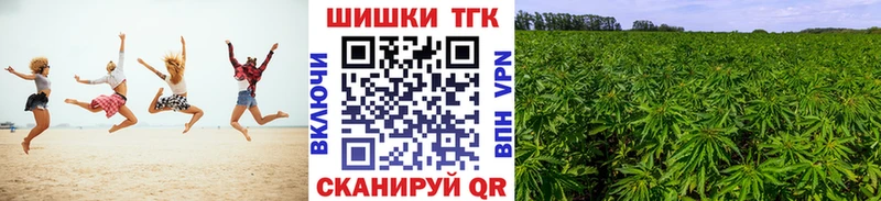 Канабис сатива  omg зеркало  Злынка  купить наркотики сайты 